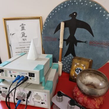 Singola sessione di biorisonanza con valutazione della priorità corpo mente emozioni animico Singola sessione di biorisonanza con valutazione della priorità corpo mente emozioni animico